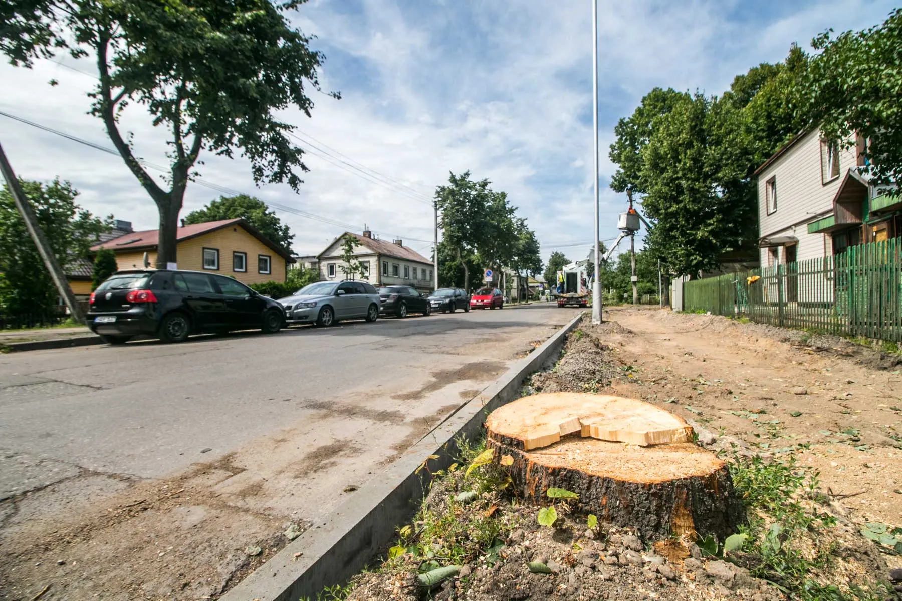 Kertami medžiai Zanavykų gatvėje