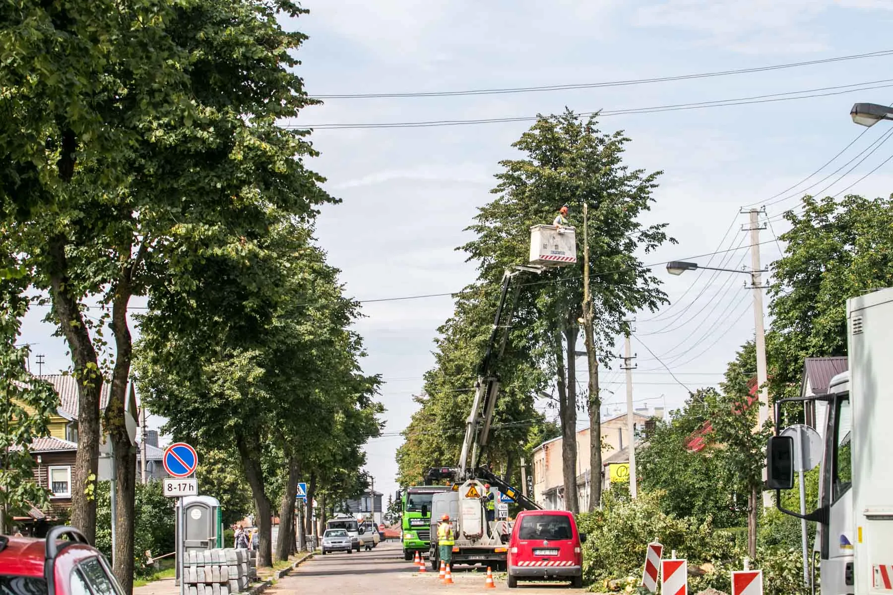 Kertami medžiai Zanavykų gatvėje