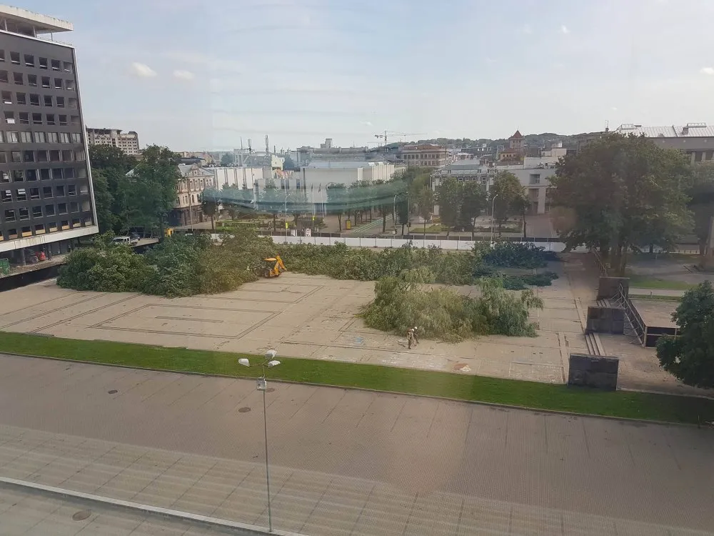 Vienybės aikštėje iškirsti medžiai