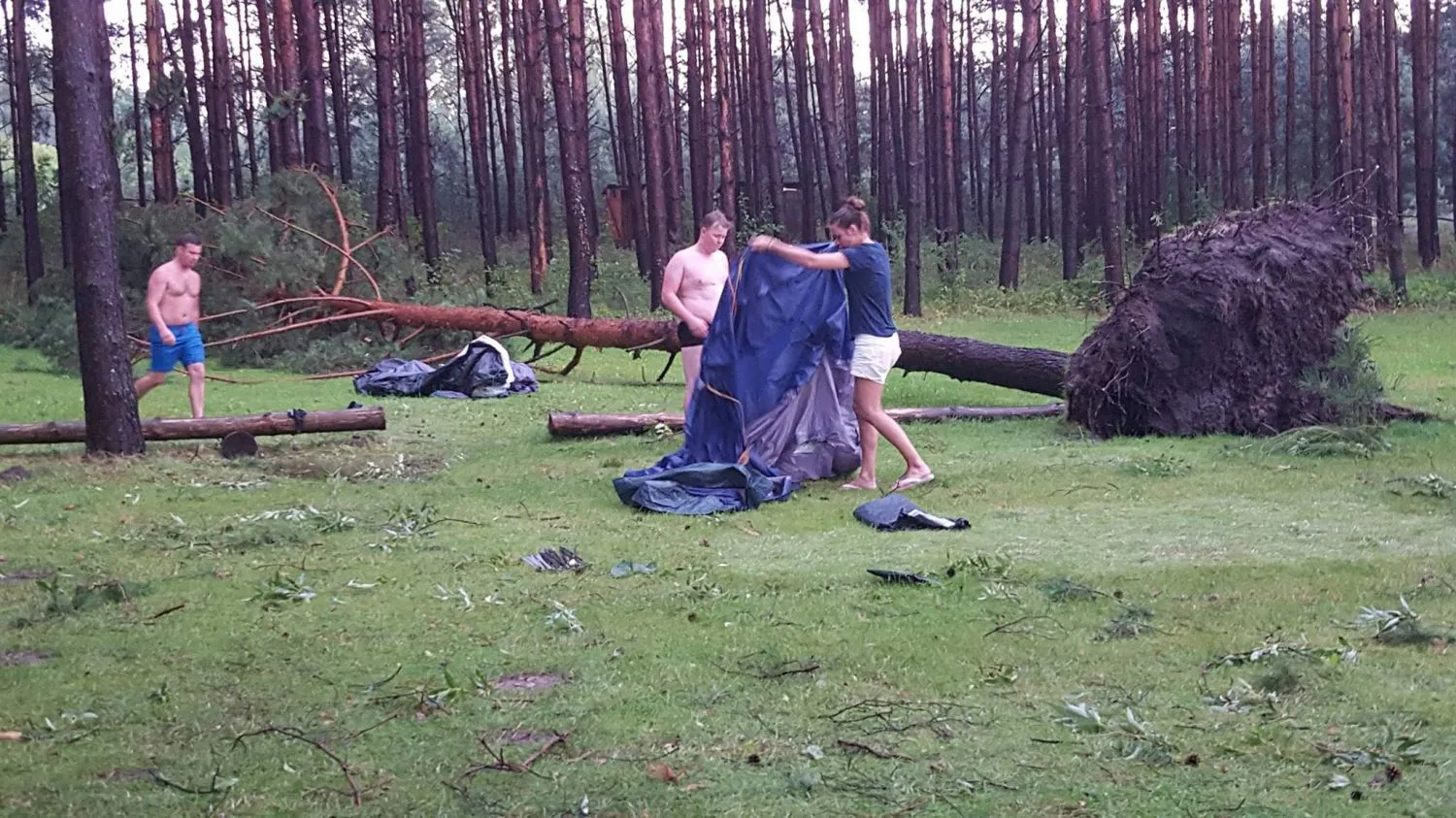 Liūtis prie Dusios ežero