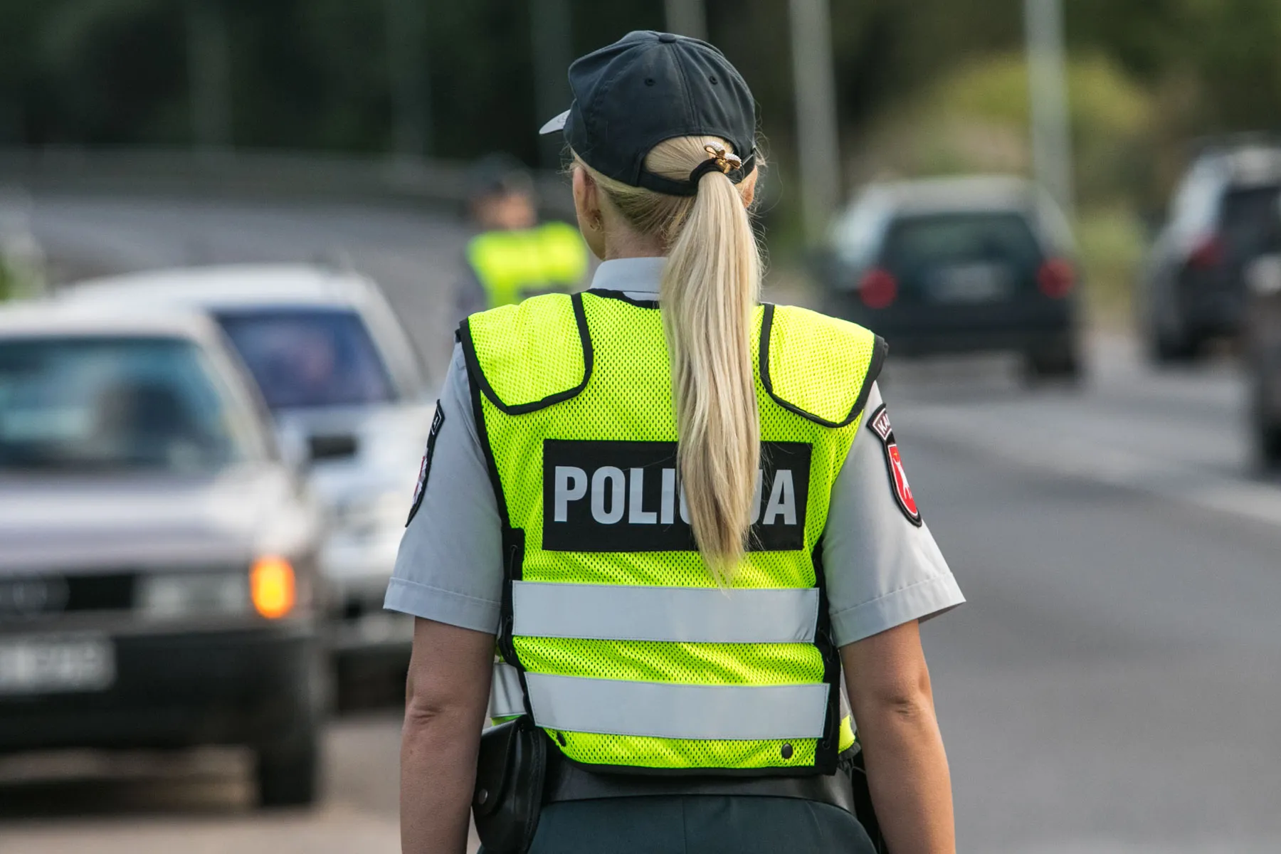 Policijos reidas Kaune