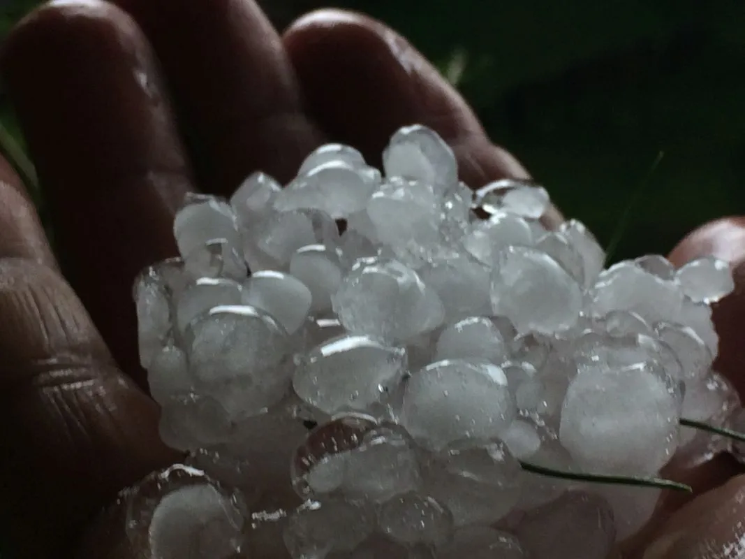 Skvalas Gervenupyje2