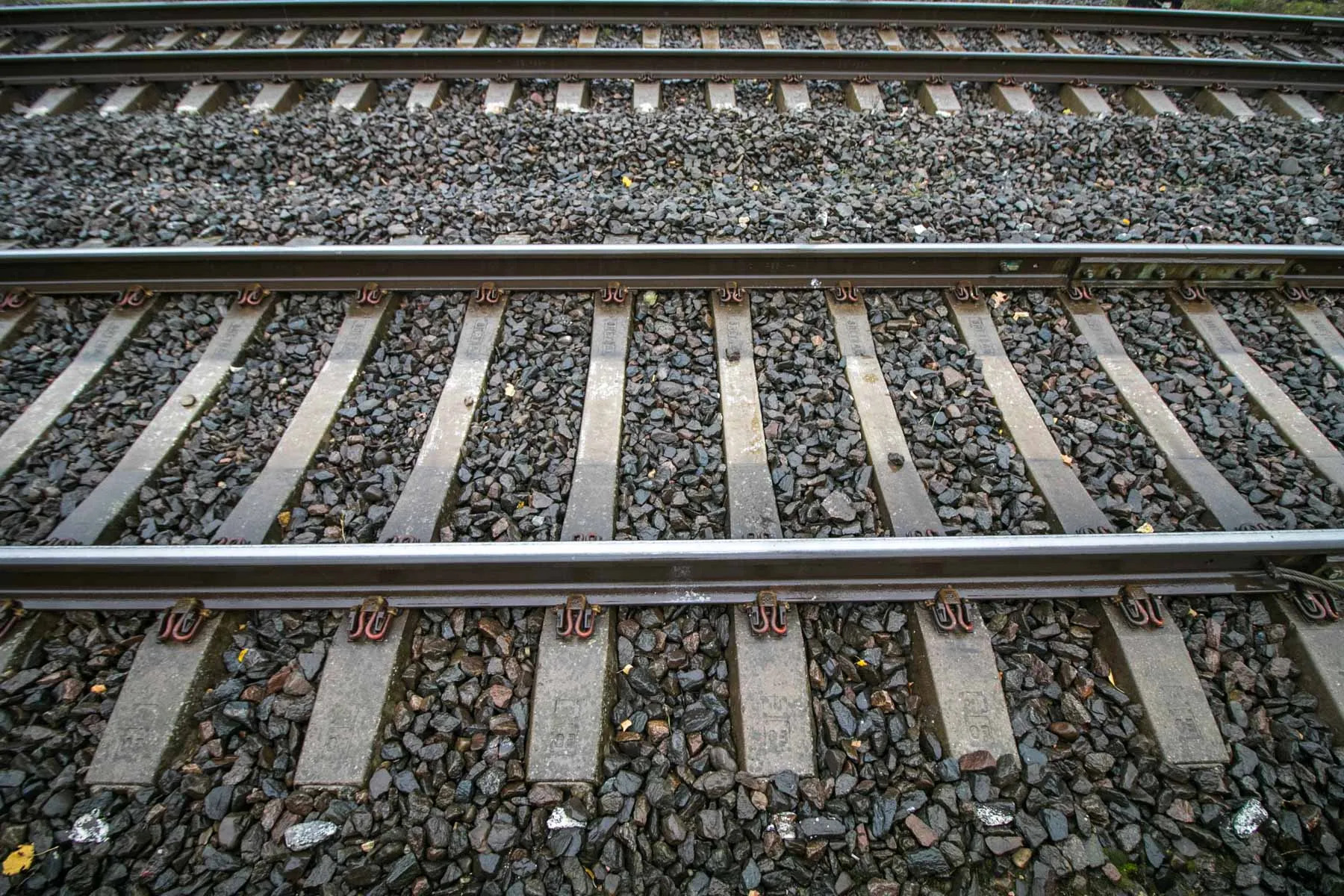 Reidas prie Amalių sankryžos