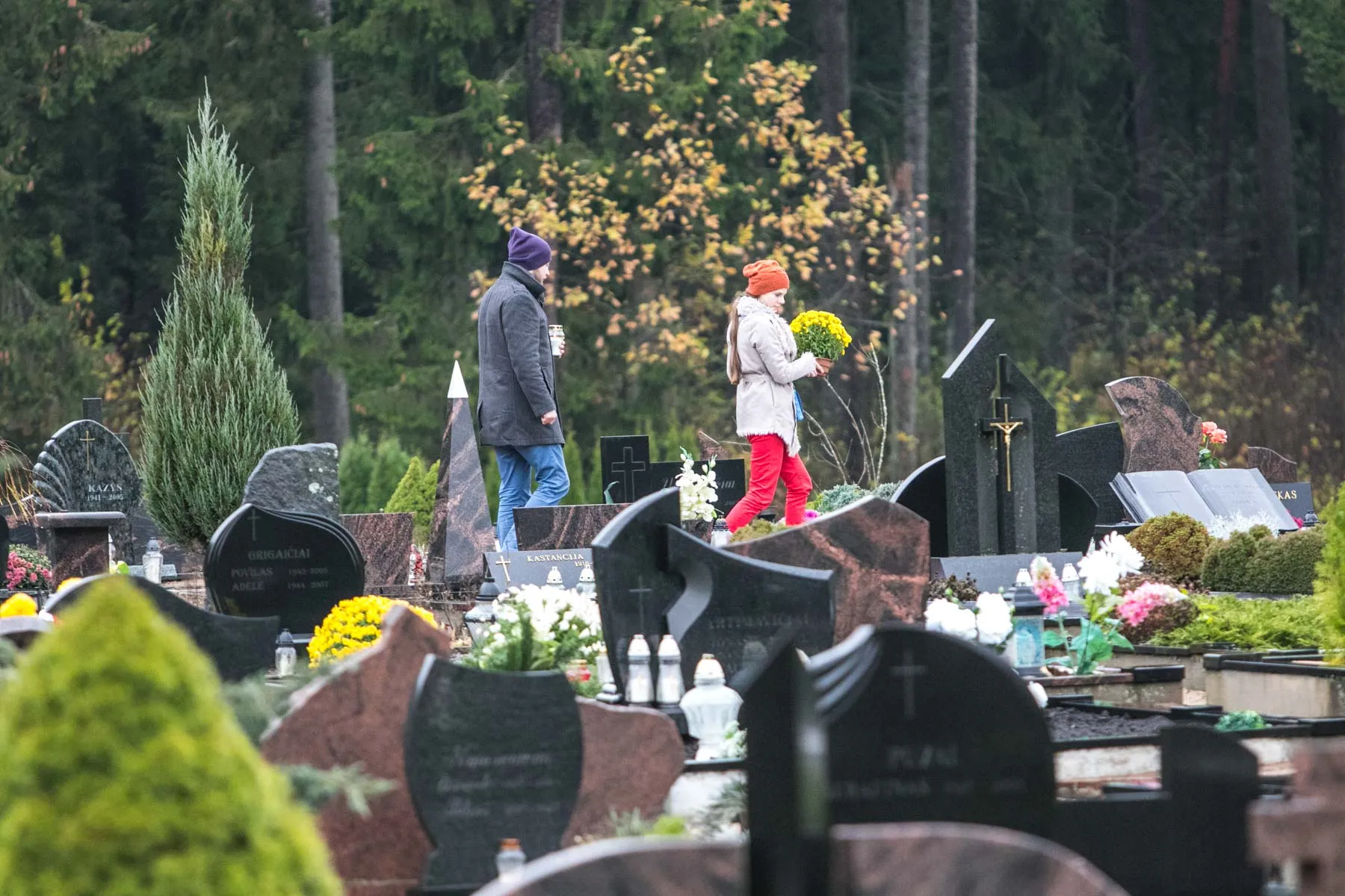 Kapinių lankymas