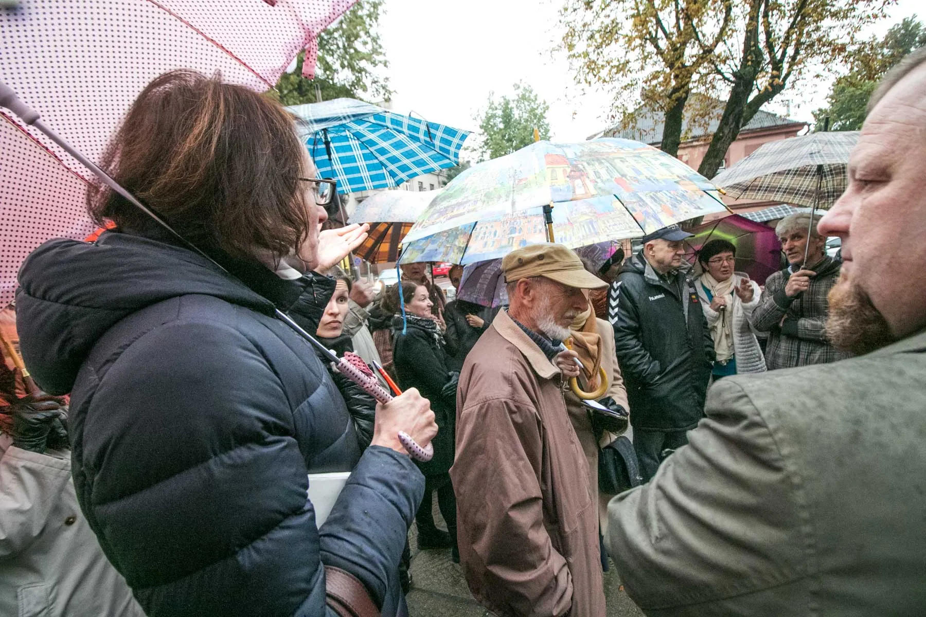 Išvadų pristatymas dėl medžių būklės