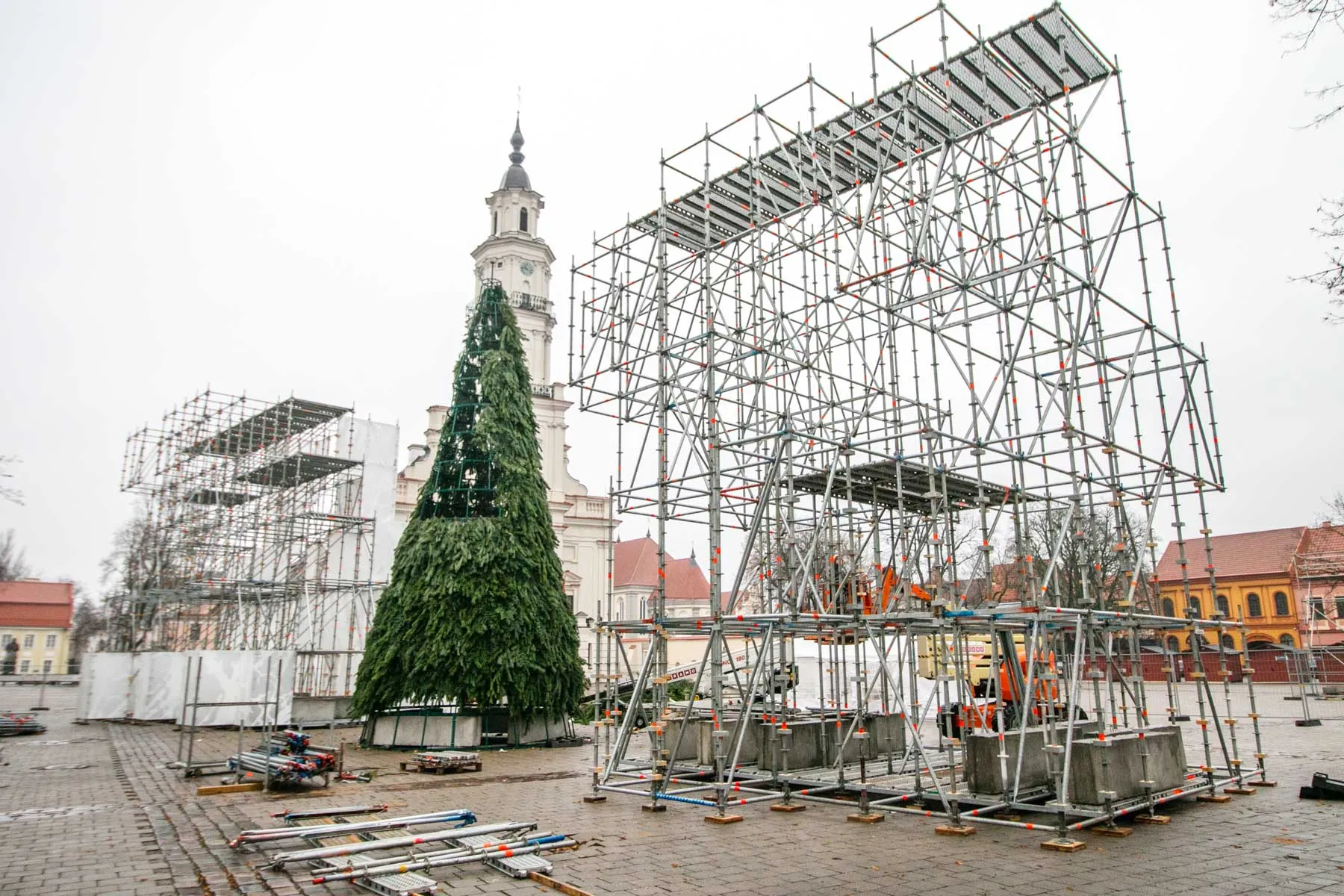 Statoma Kalėdinė eglutė Rotušėje
