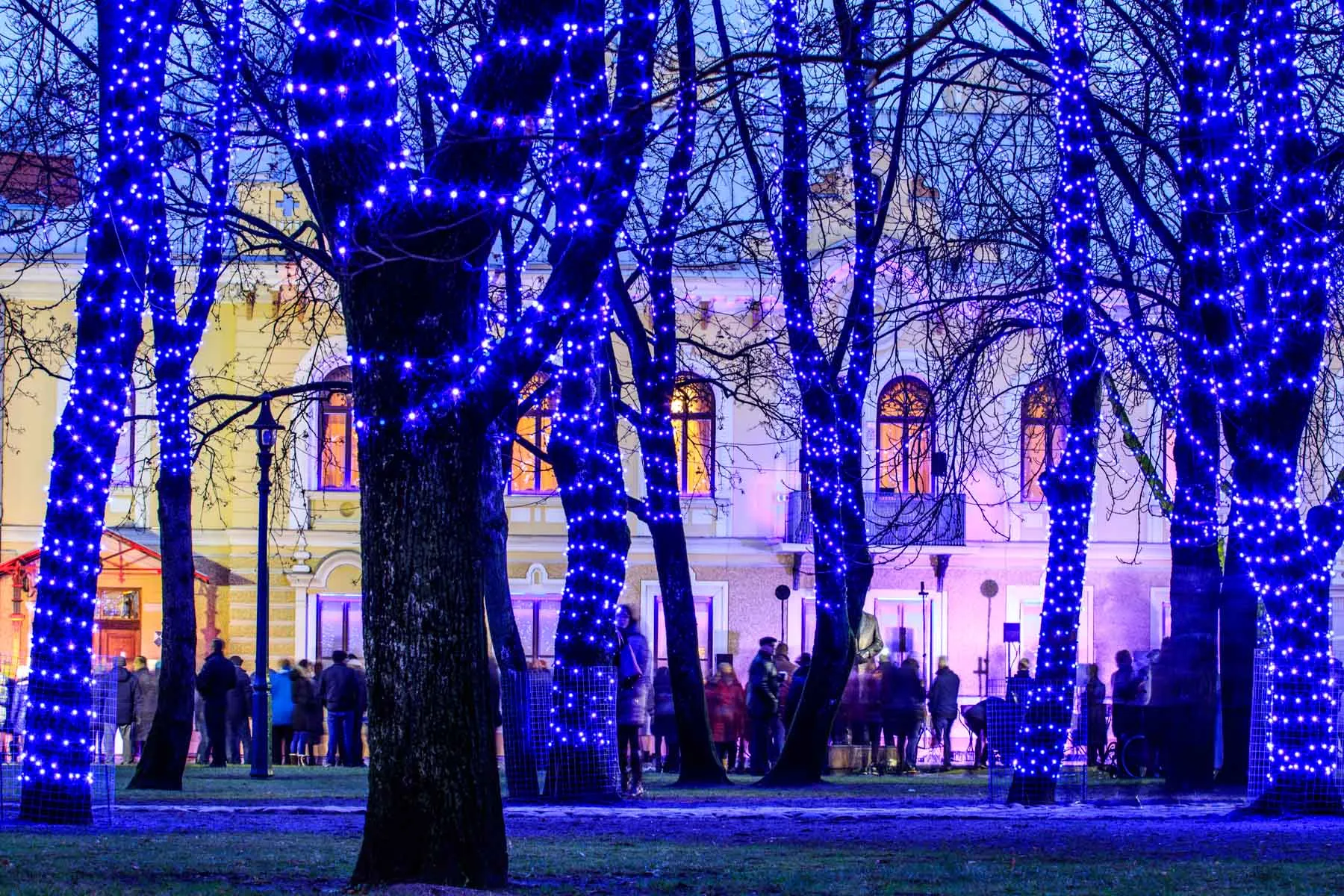 Istorinės LR Prezidentūros sodelio įžiebimas