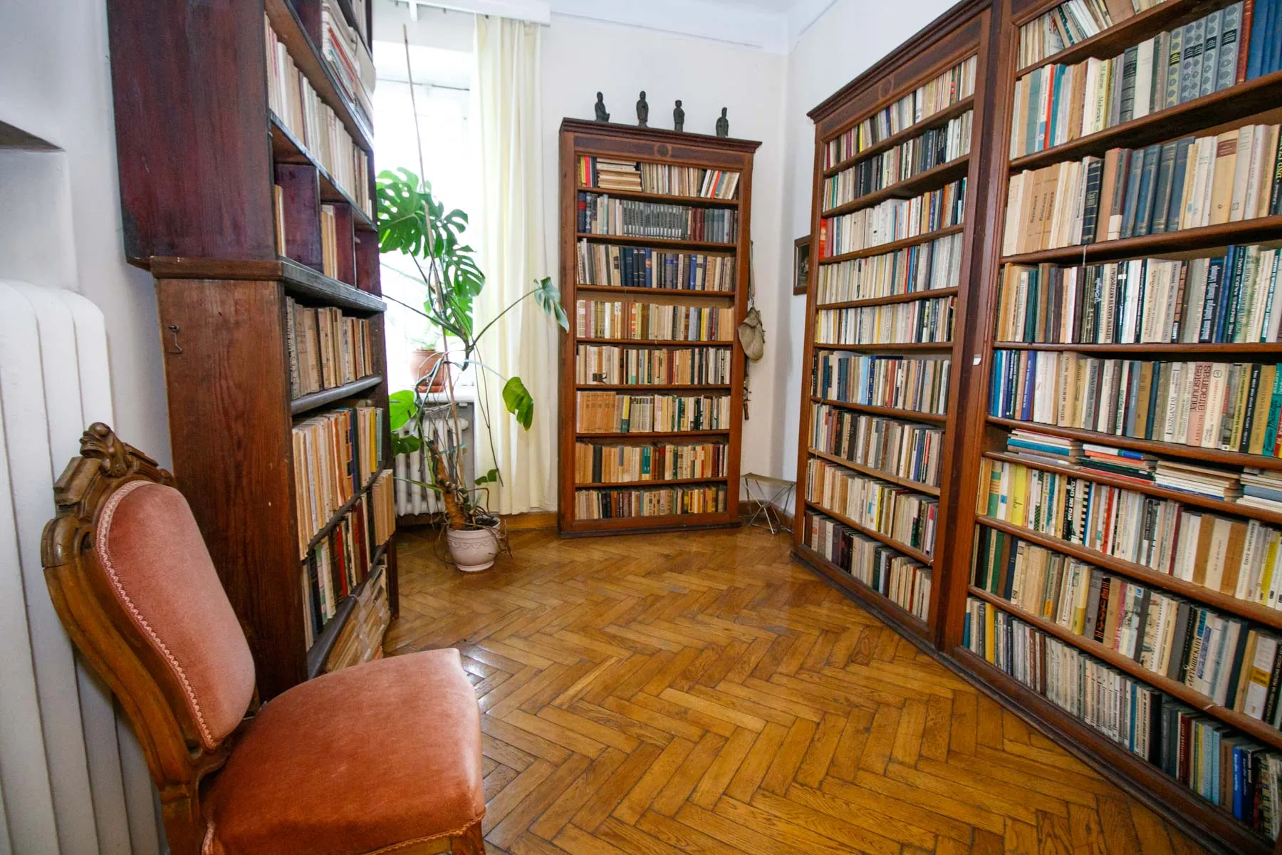 A. ir P. Galaunių namai