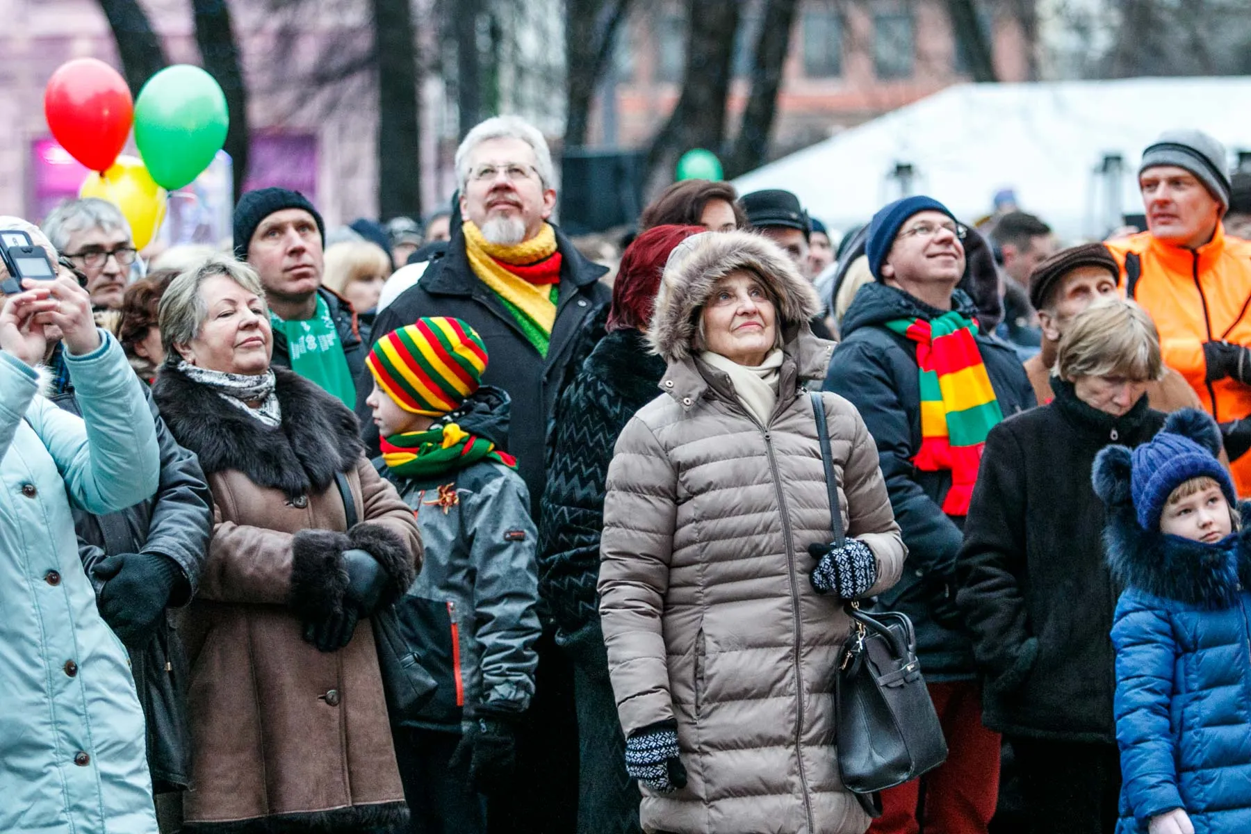 Vasario 16-oji Istorinėje LR Prezidentūroje, Ledo skulptūrų parkas