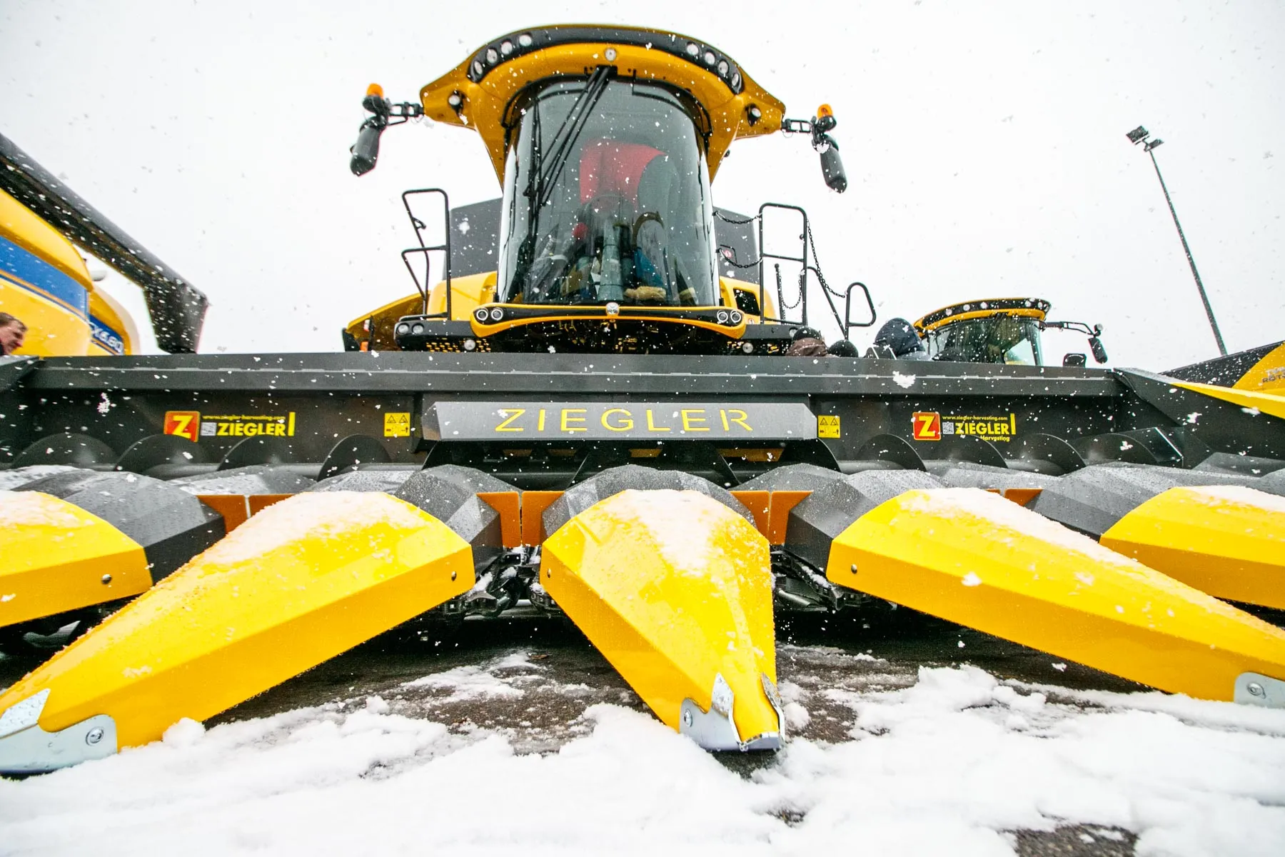 Paroda „Ką pasėsi...“