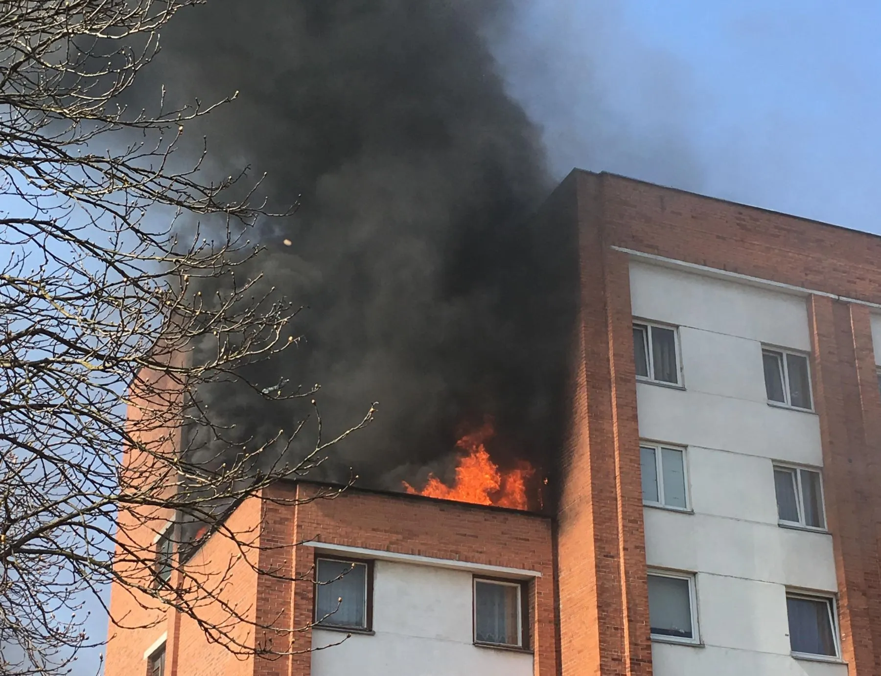 Gaisras Kalniečiuose