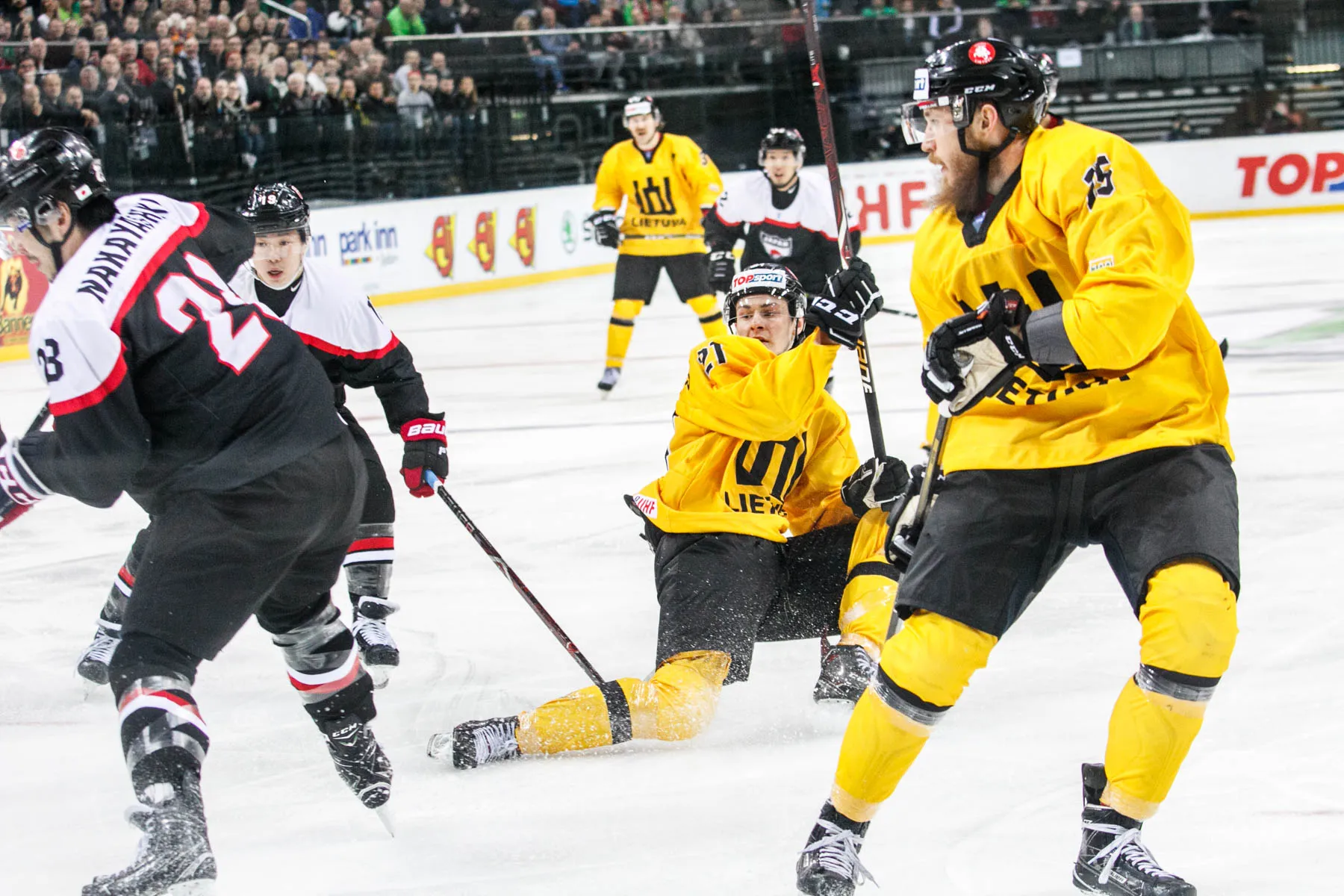 Ledo ritulys: Lietuva - Japonija