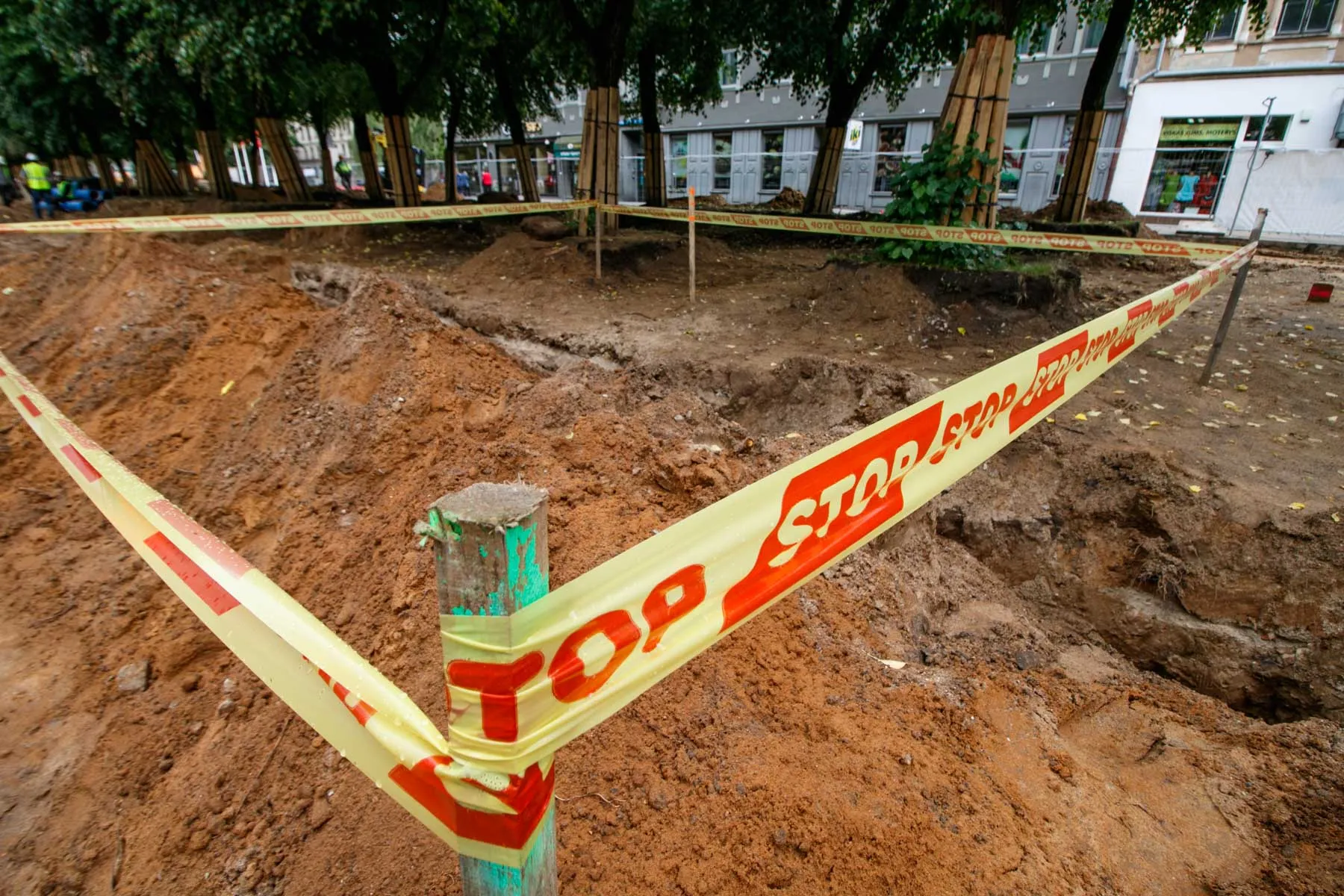 Laisvės alėjoje rastas lobis