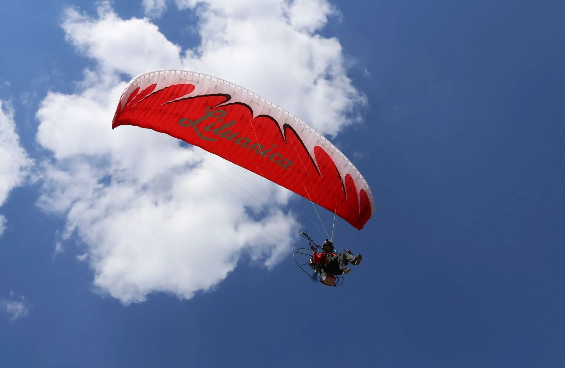 Pleneras ir „Lituanicos“ skrydžio pristatymas Netoniuose