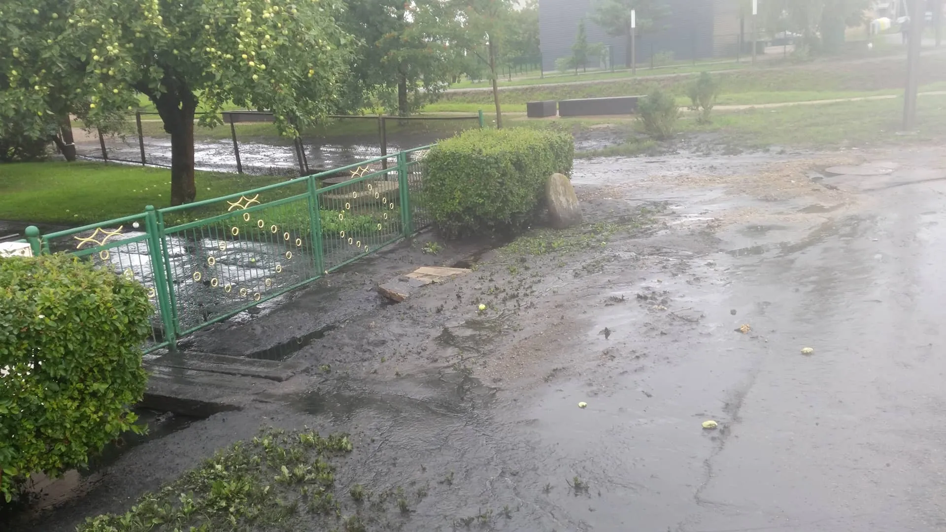 37101532_1866626806734053_6252169405862510592_n