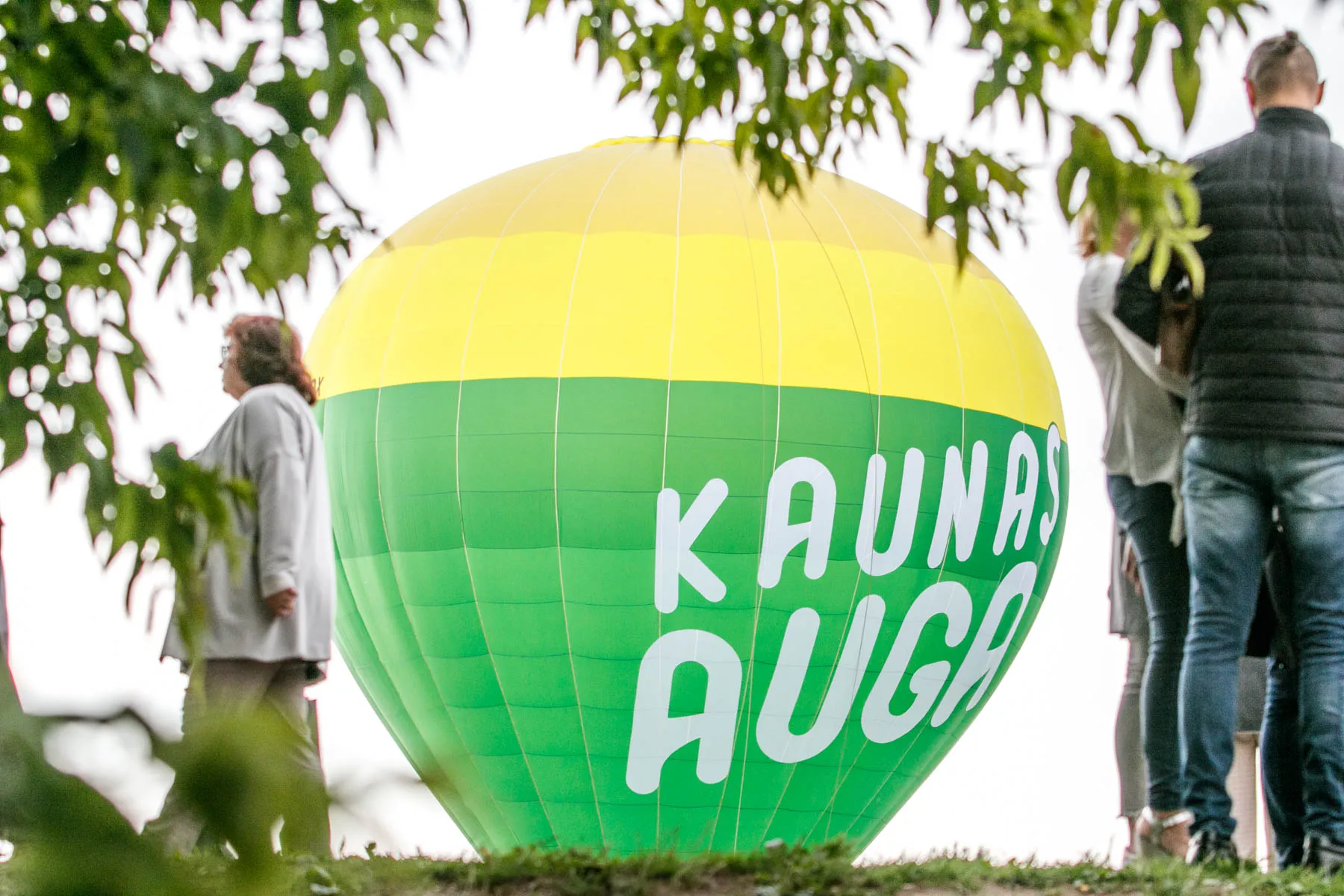 Vyčio atidengimo ceremonija