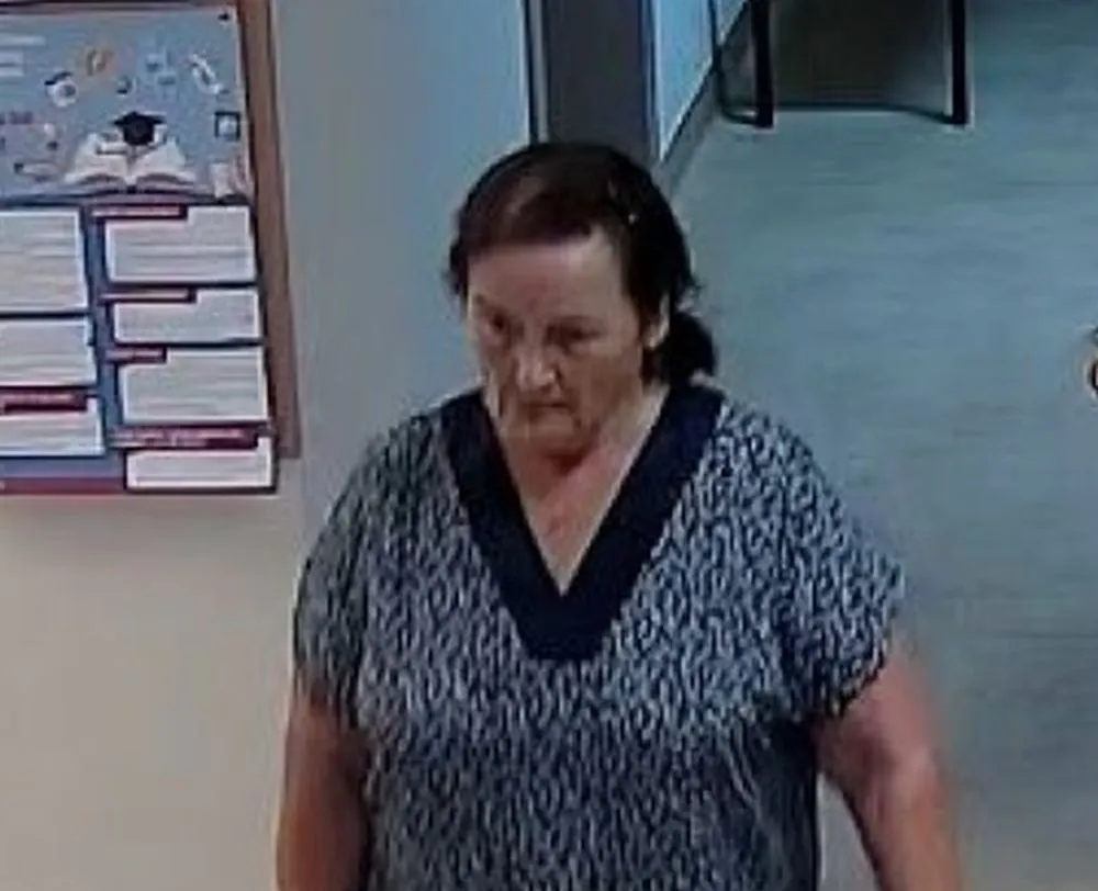 Kompiuterio vagystė