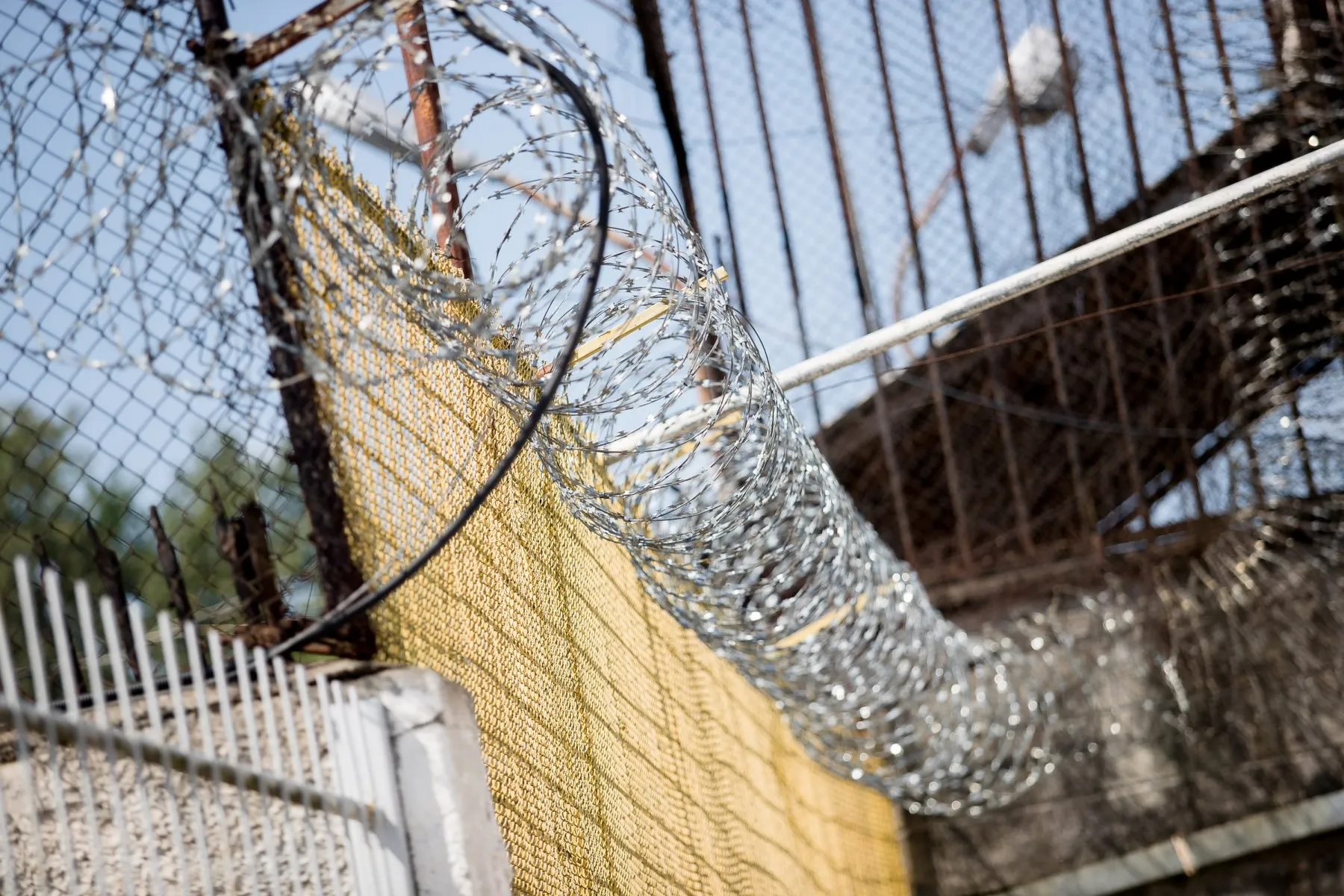 Pravieniškių pataisos namai-atviroji kolonija