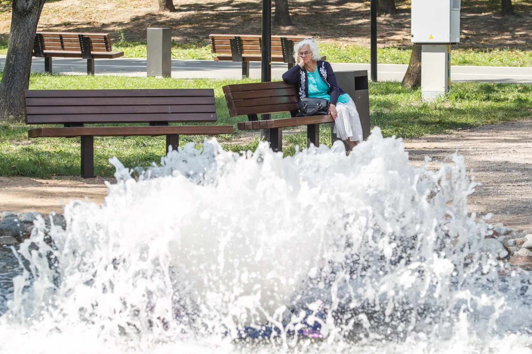 Rekonstruotas Dainavos parkas