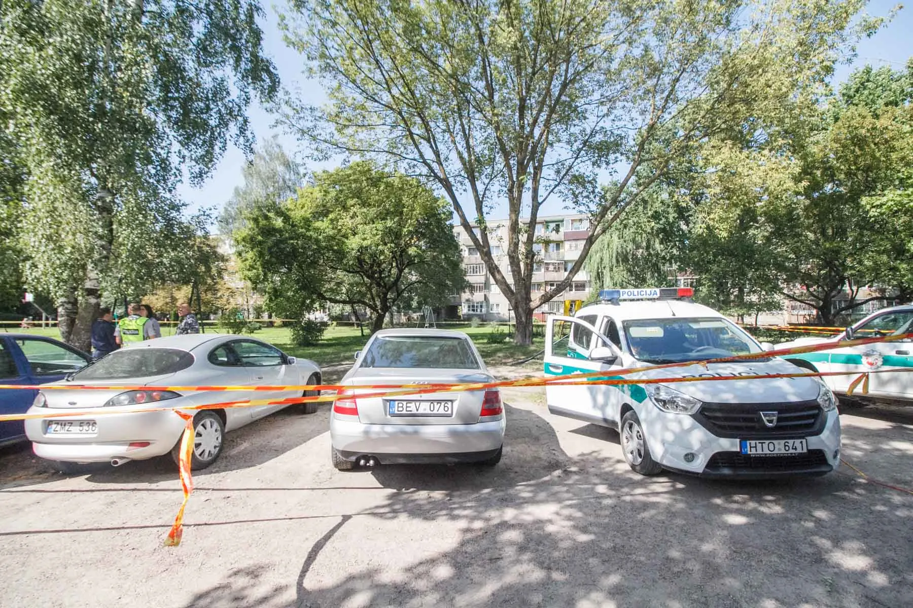 Lavonas smėlio dėžėje