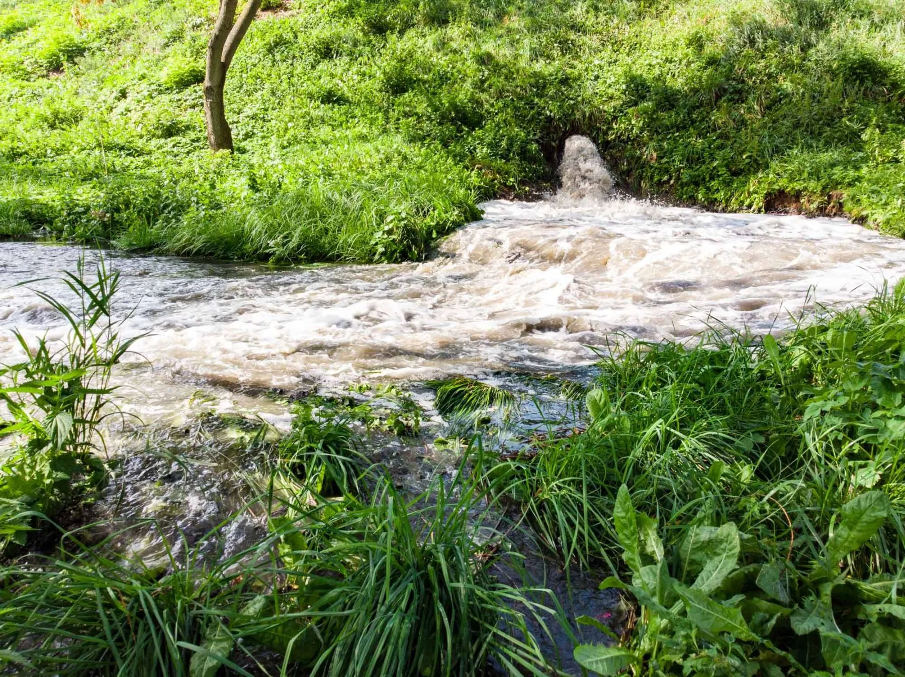 Į Nerį smarkia srove veržiasi nuotekos