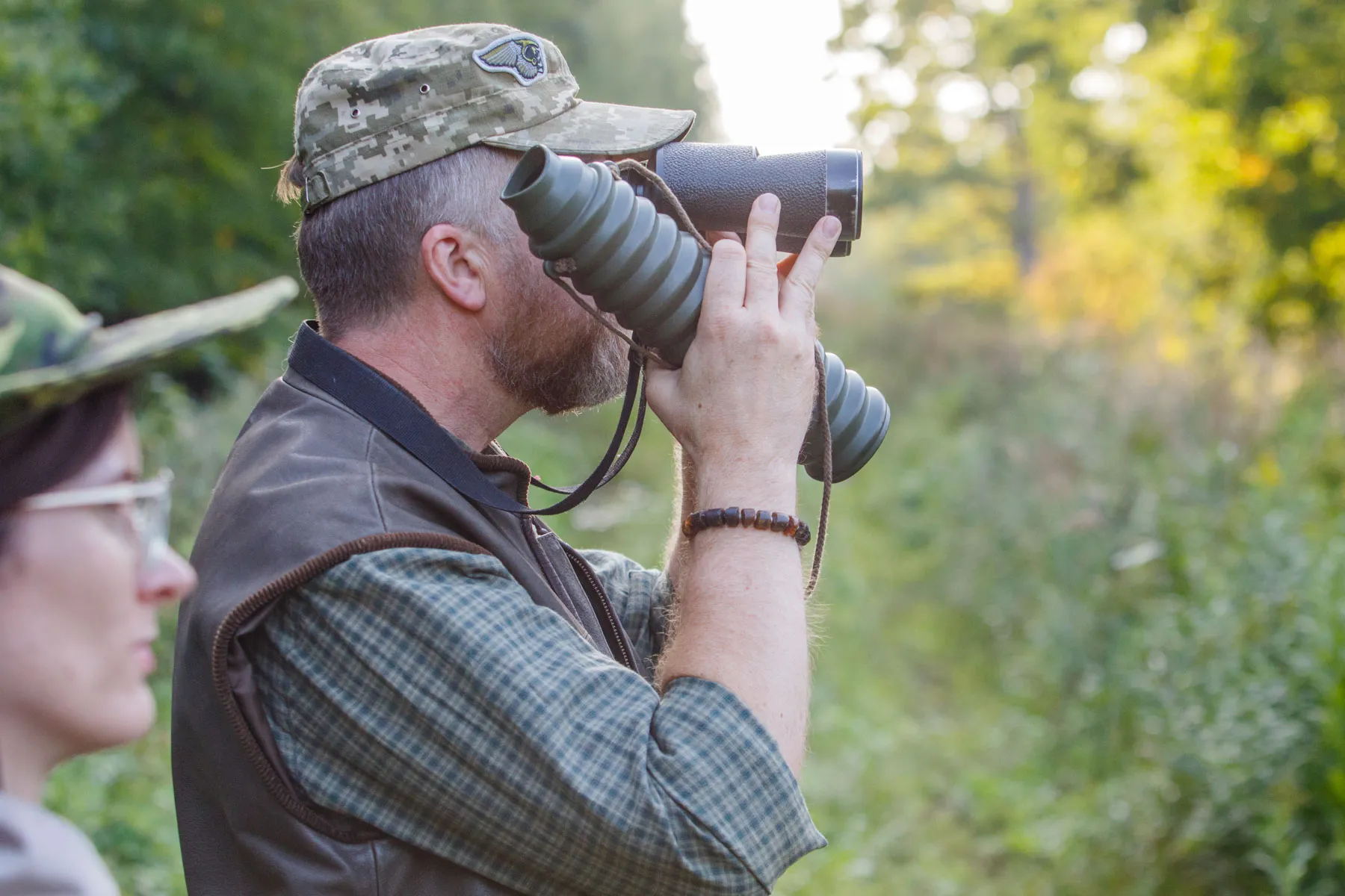 Elnių riaumojimas miške