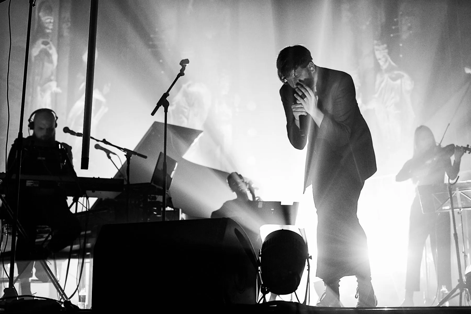 „Golden Parazyth“