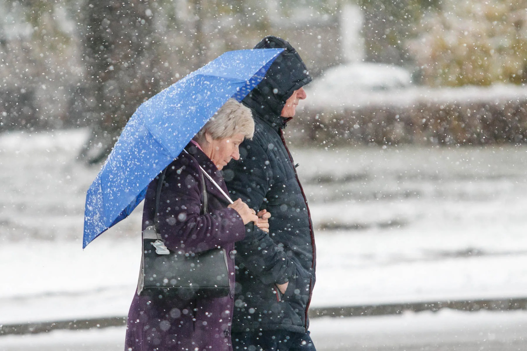 Pirmasis sniegas Kaune