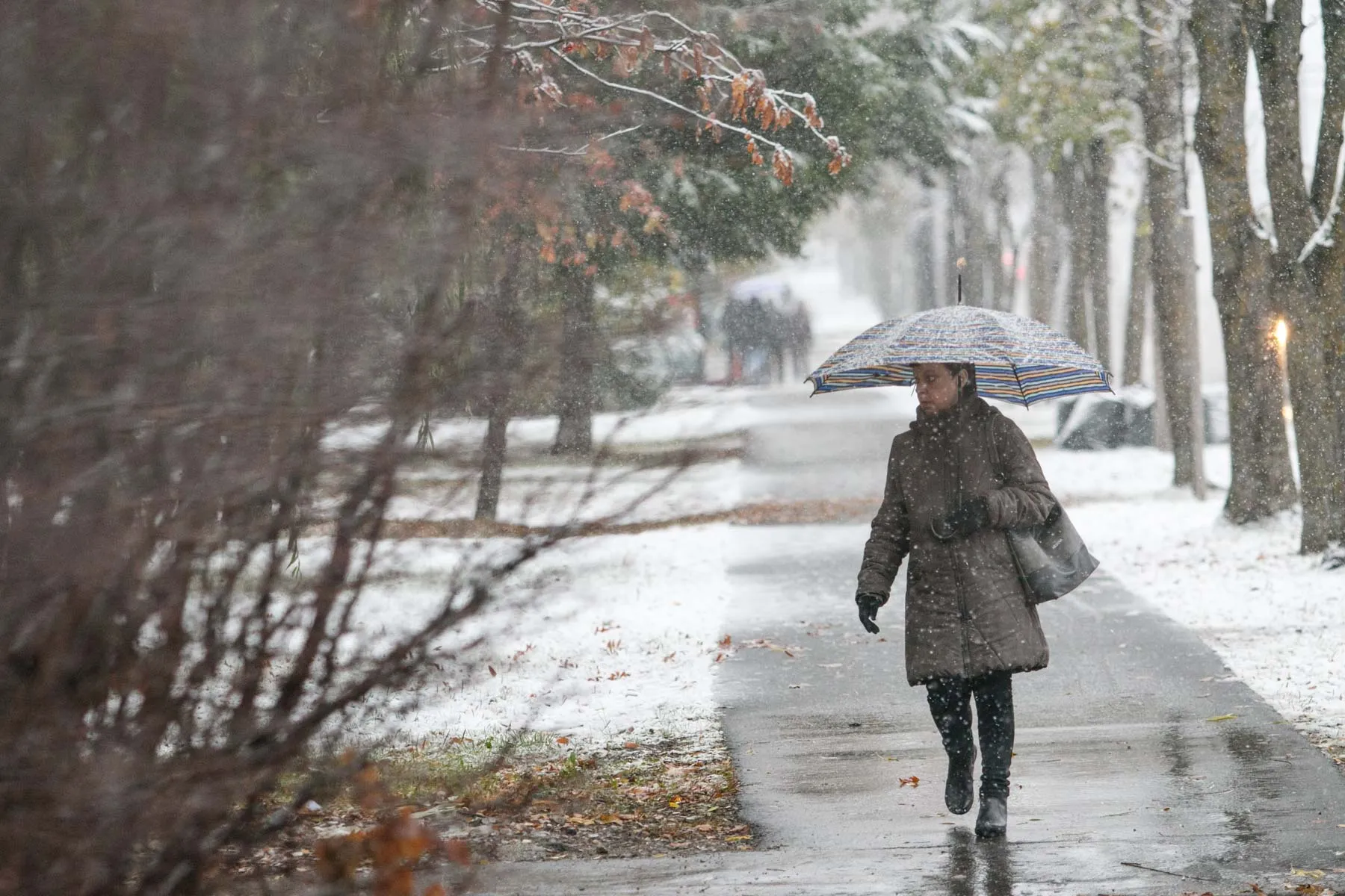 Pirmasis sniegas Kaune