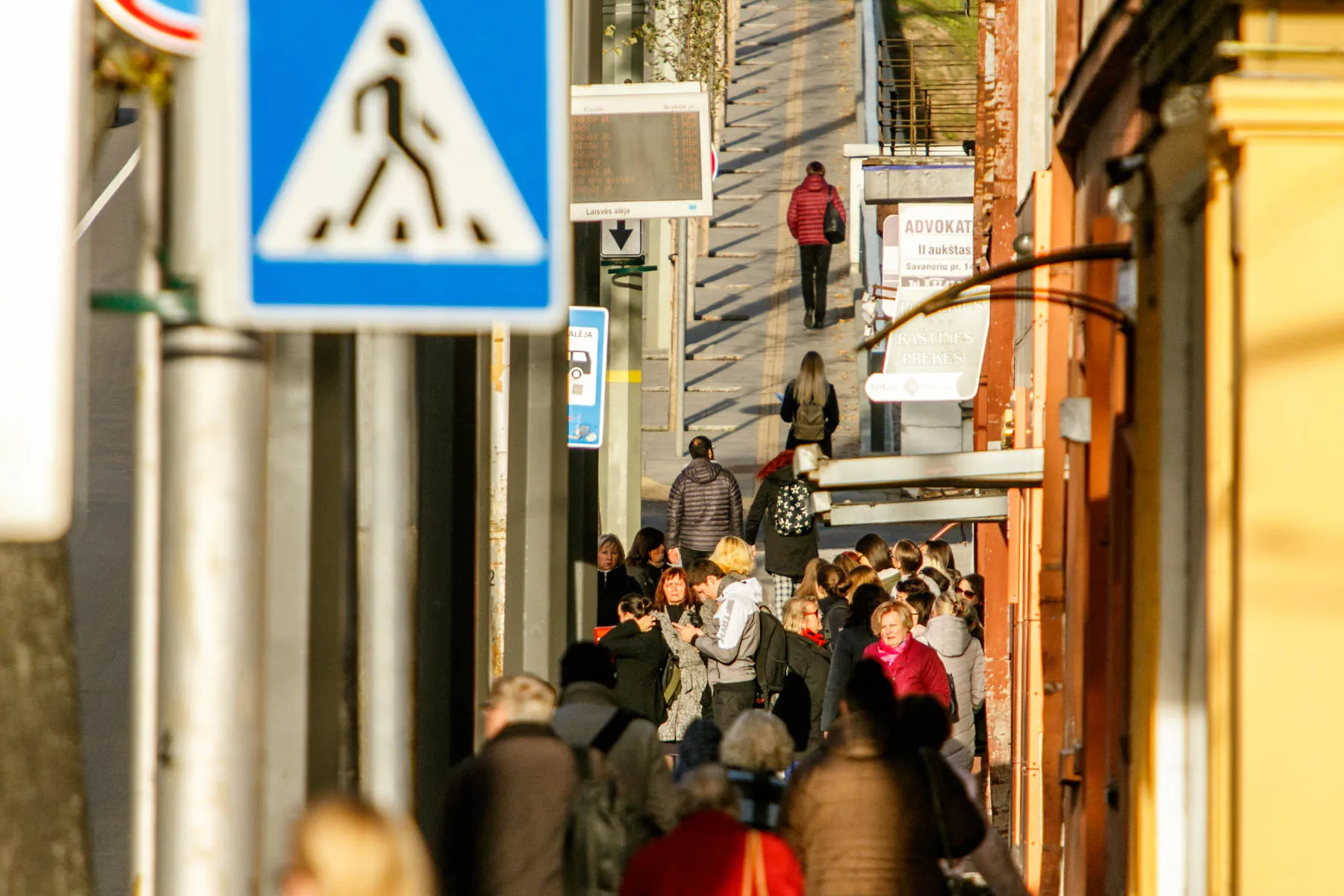 Rudeniškos spalvos Kaune