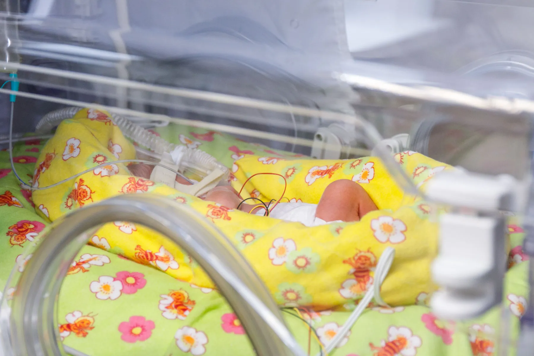 Gimdymas, inkubatorius, akušerijos ligoninė