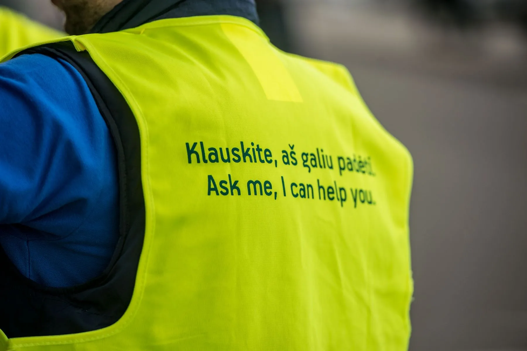 Savanorystė, savanoris