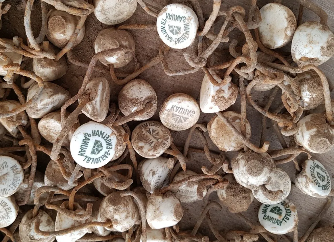 Prie „Volfas Engelman“ rastas lobis