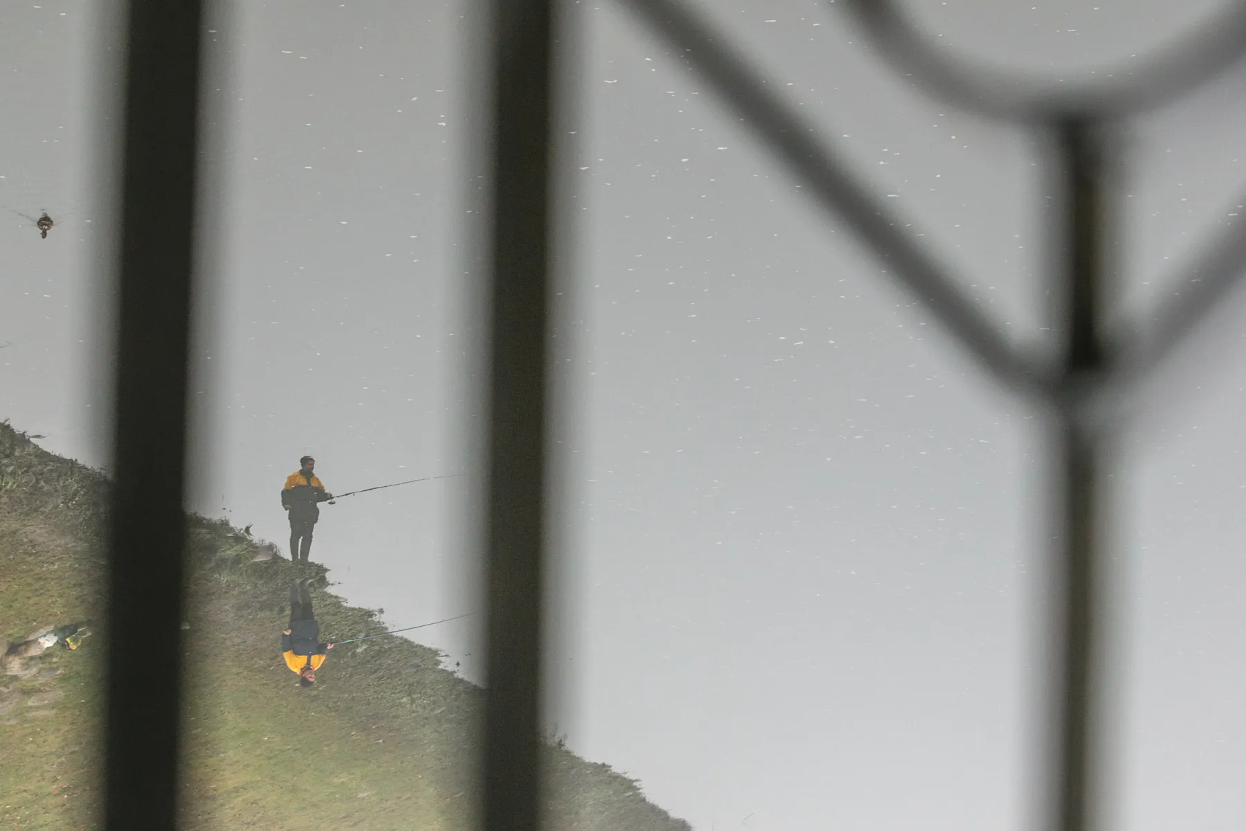 Kauną uždengė rūkas