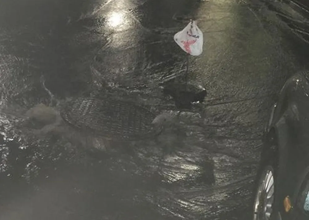 Aleksoto šulinys, pro kurį plūsta vanduo