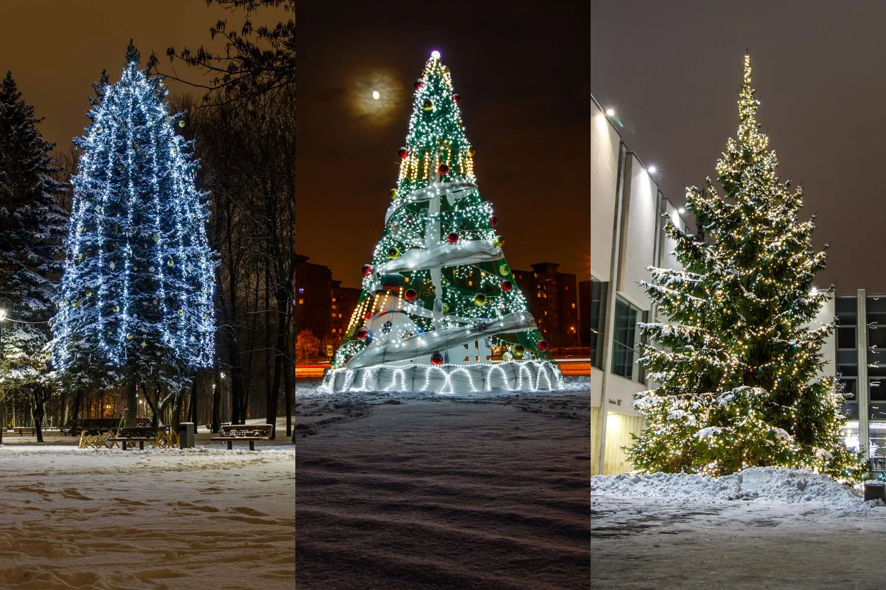 Kauno miesto ir rajono eglutės