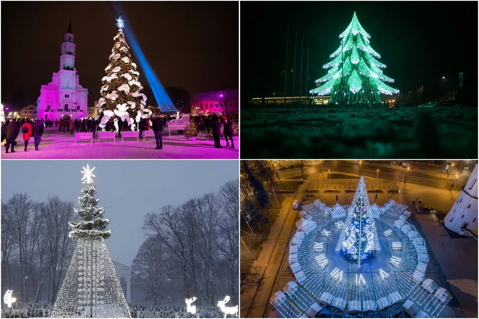 Gražiausia Lietuvos Kalėdų eglė