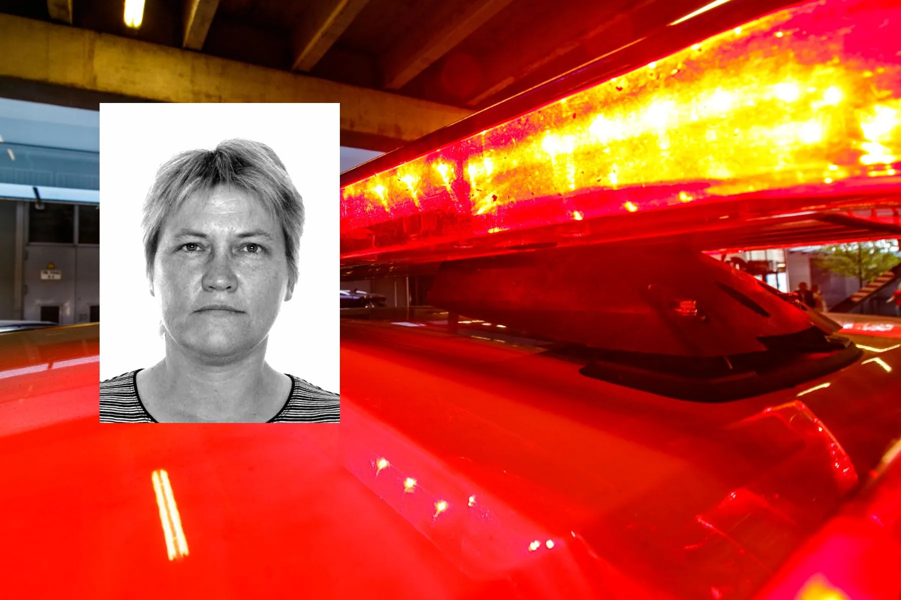 Inga Matulevičienė