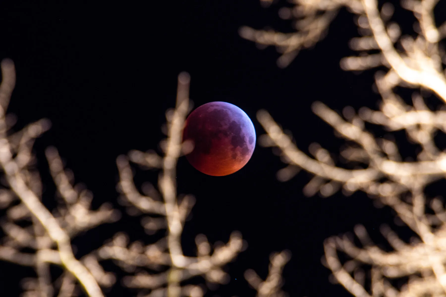 Raudonasis Mėnulio užtemimas