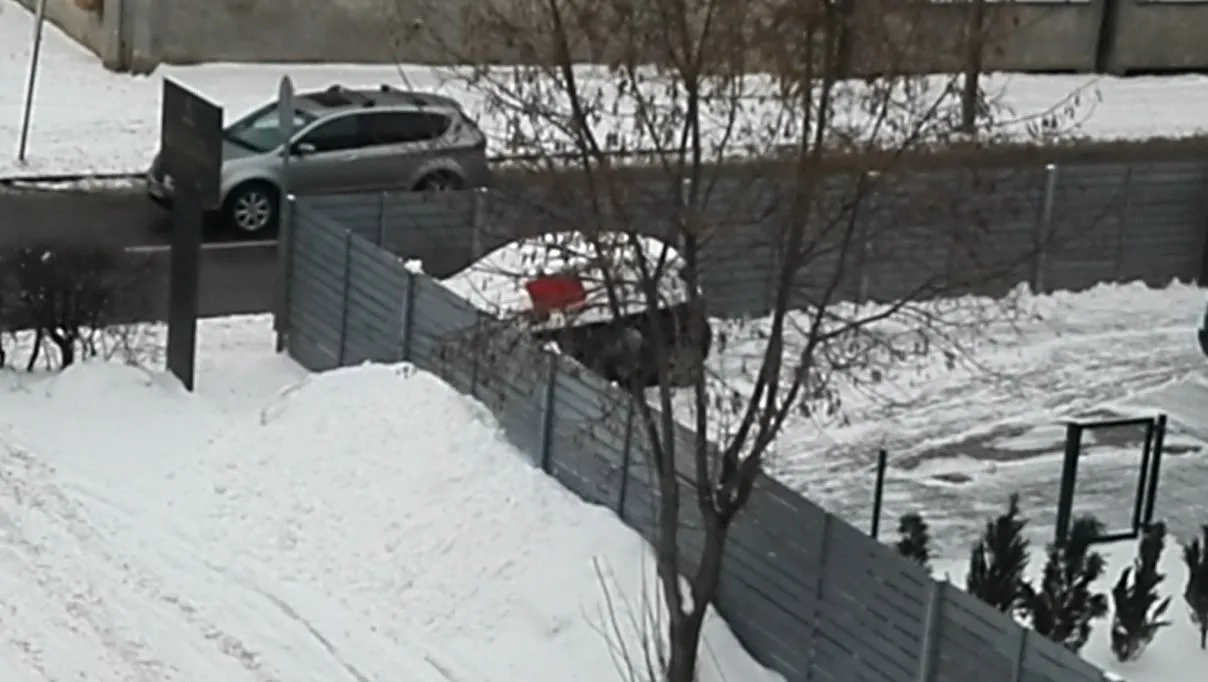 Sniego valymo ypatumai