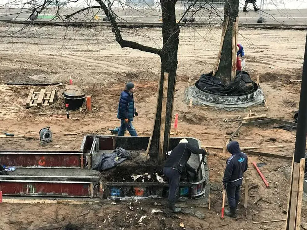 Laisvės alėjoje kapojamos liepos šaknys