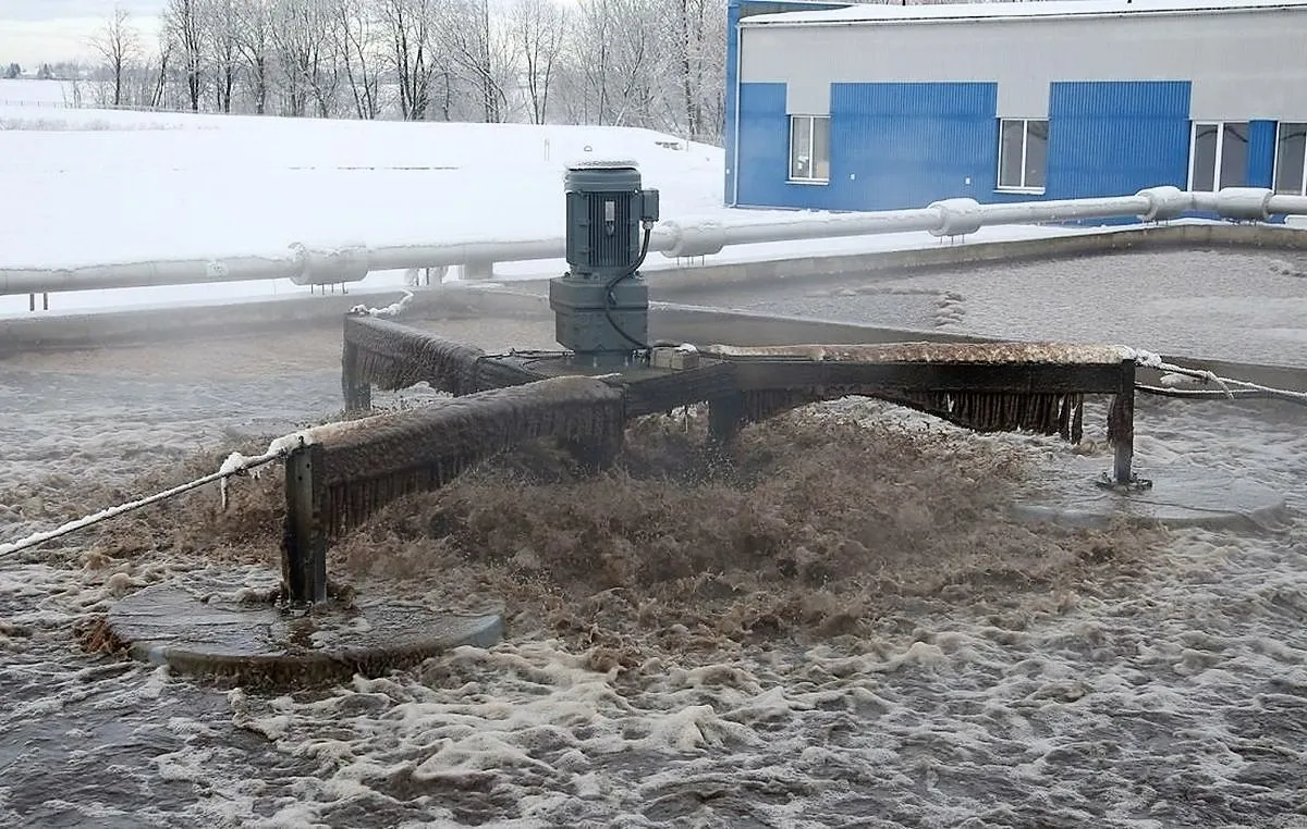 Nuodingas dumblas Kėdainiuose