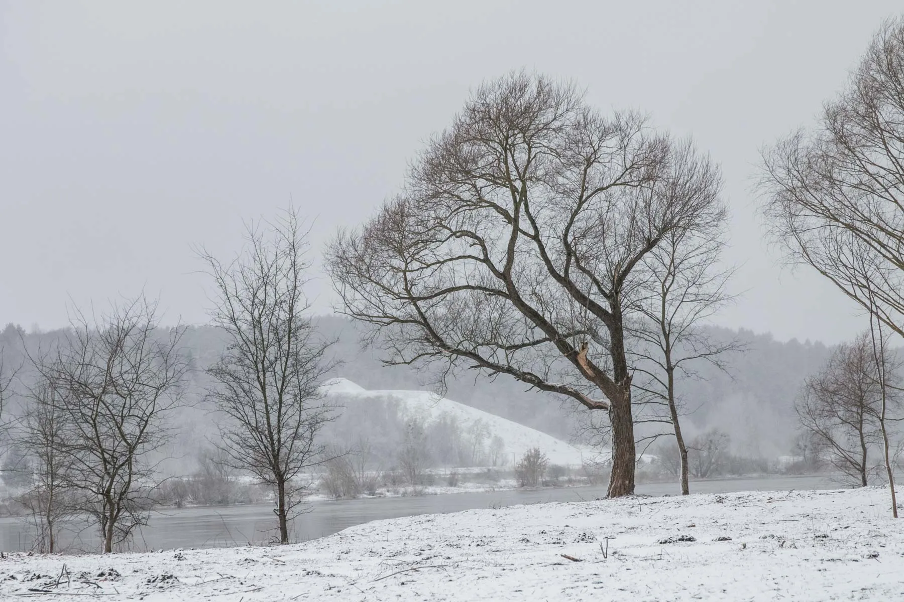 Nemuno ir Nevėžio santaka