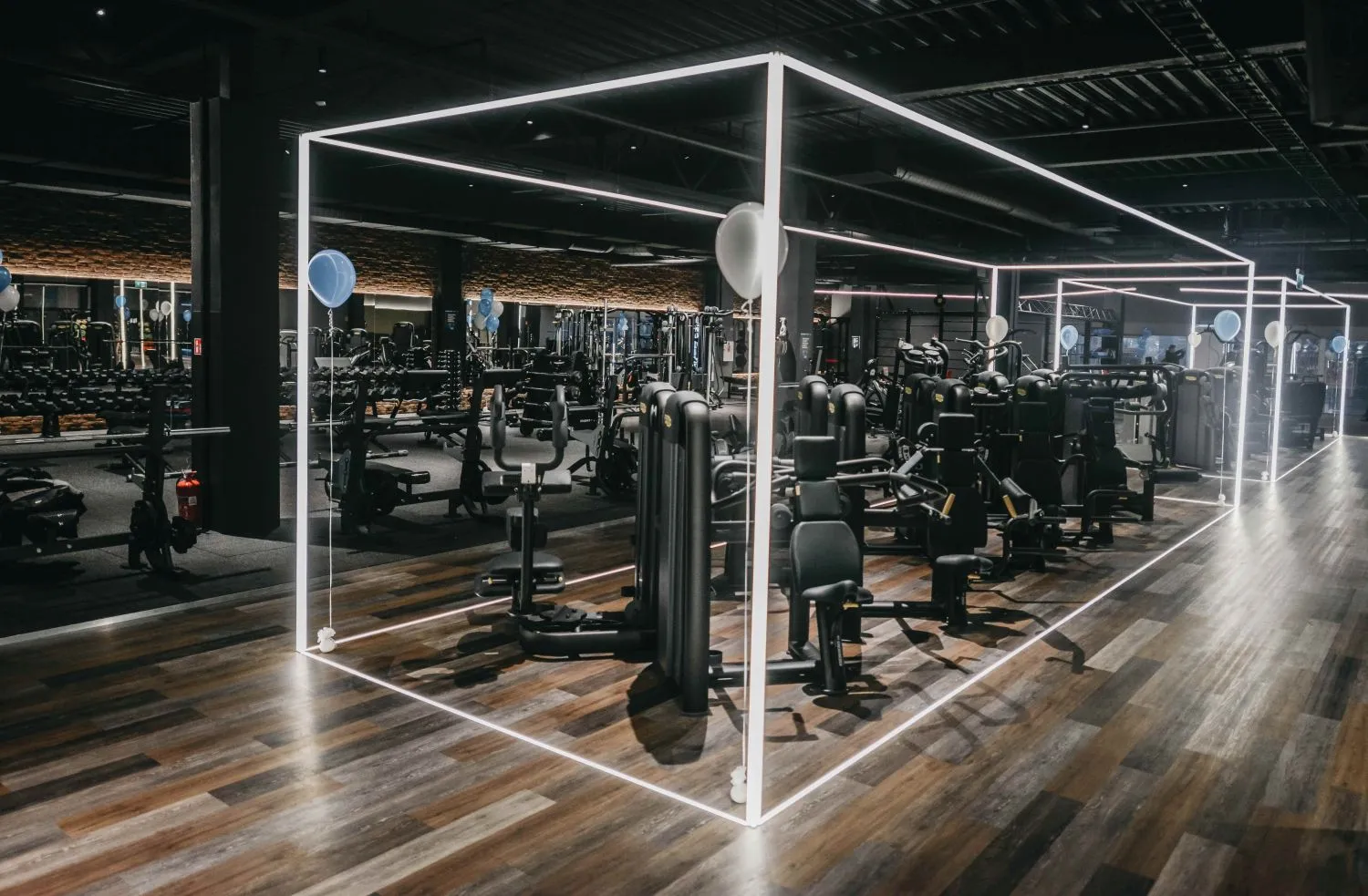 GymPlius sporto klubas