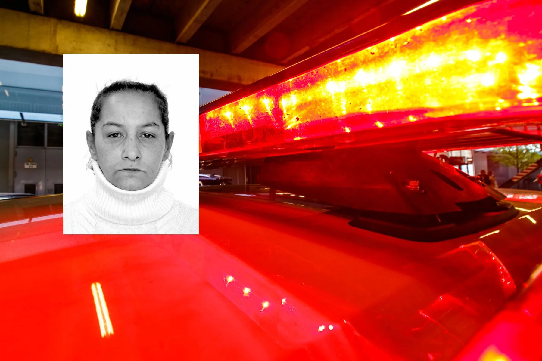 Ieškoma Kaune dingusi Laura Karalienė