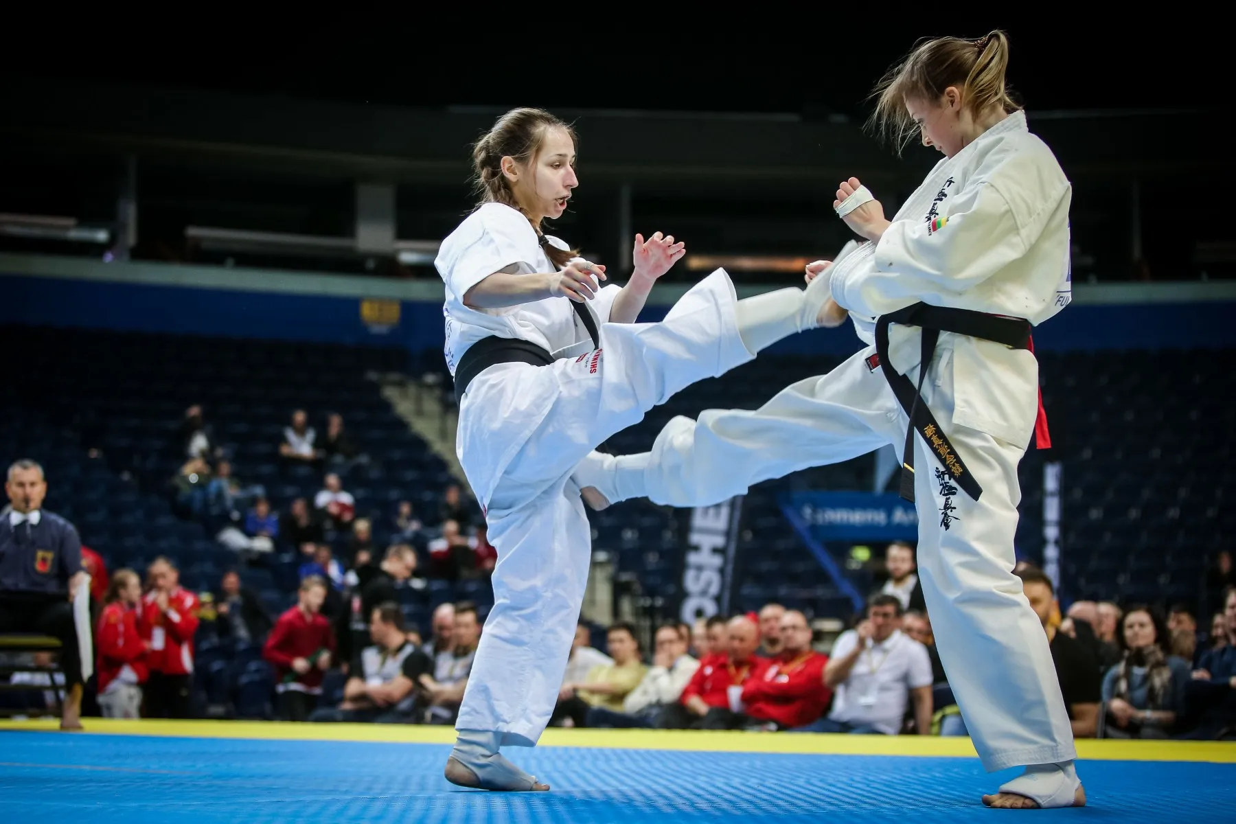 Europos kiokušin karatė čempionato akimirkos