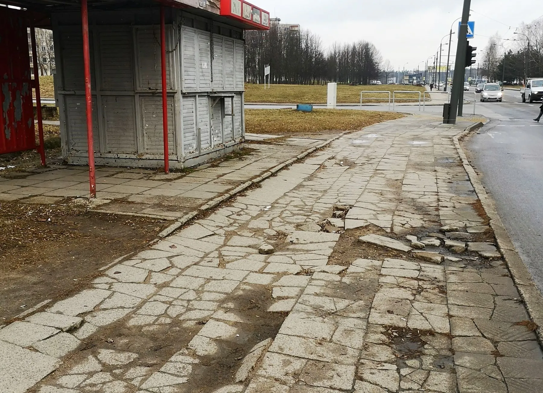 S. Žukausko g. šaligatviai