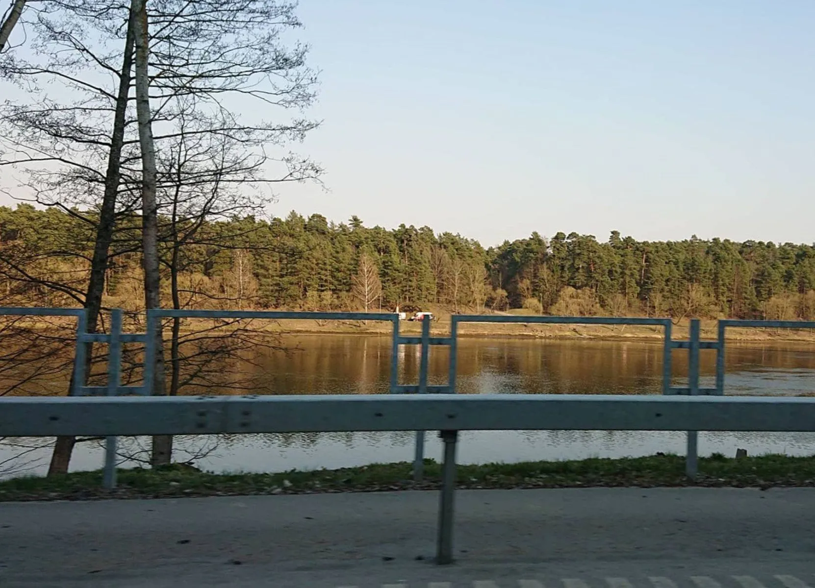 Greitosios automobiliai Panemunės šile