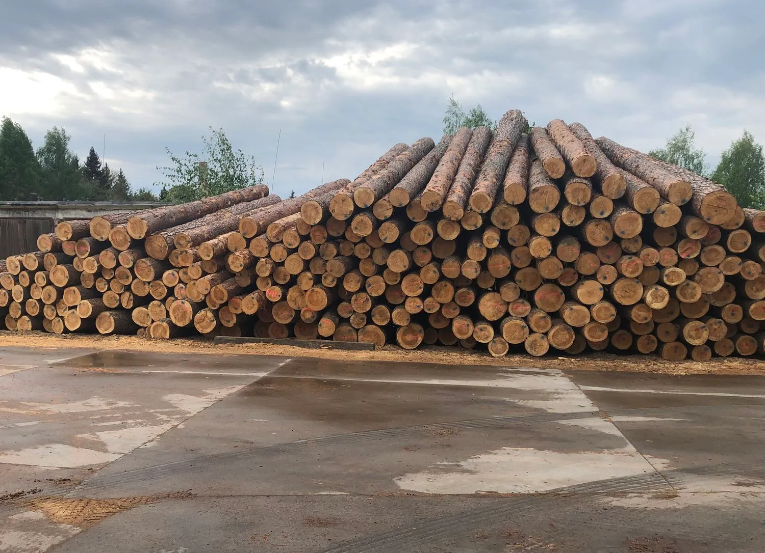 Sukčiavusios įmonės, mediena