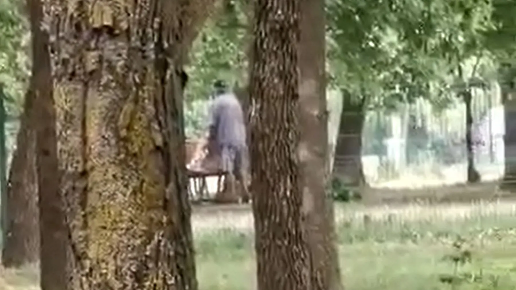 Sekso scena Kalniečių parke